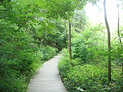 066 Longwood Gardens [2008 August 23]